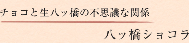 チョコと生八ッ橋の不思議な関係-八ッ橋ショコラ